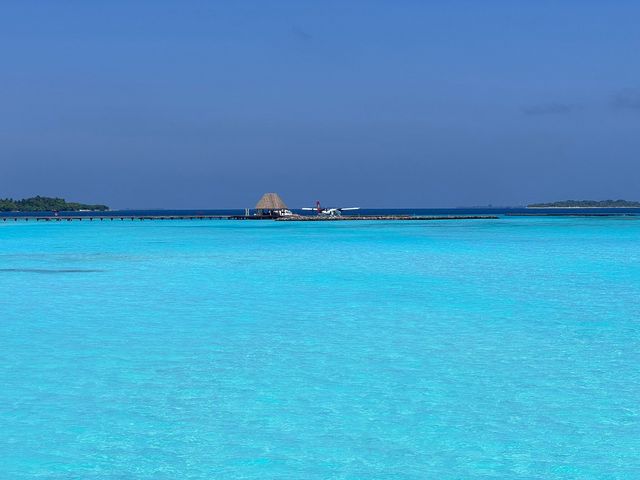 A Memorable Return to the Maldives