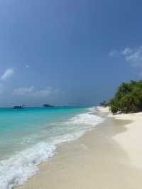 A Slice of Paradise