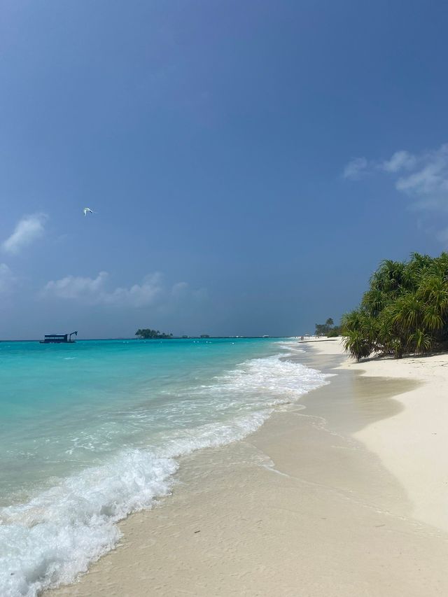 A Slice of Paradise