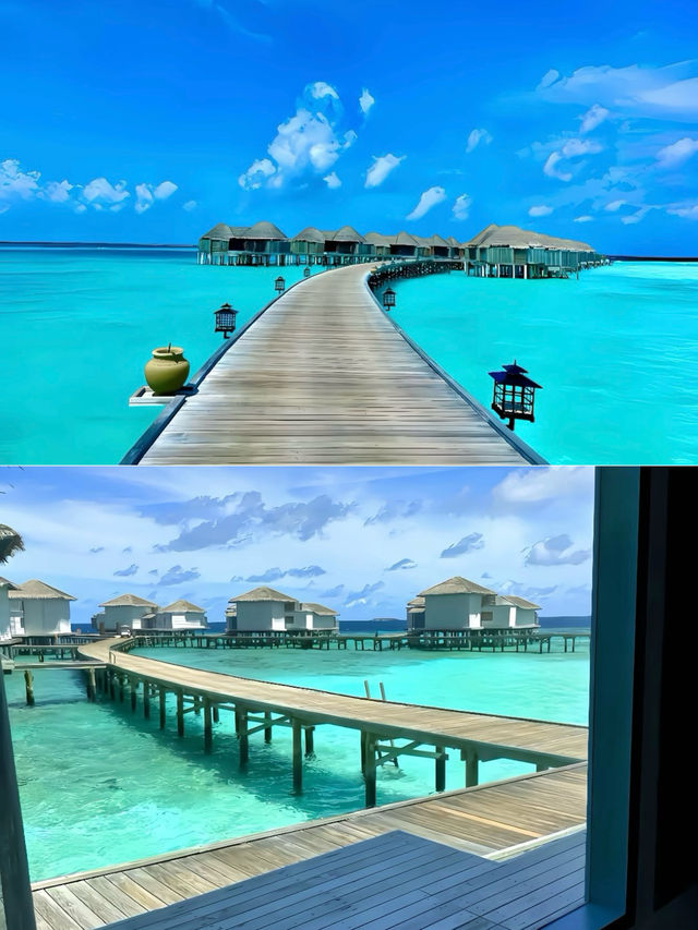 【我的生命就應該浪費在這種地方】