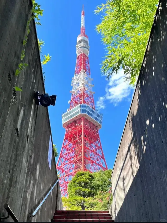 Tokyo Tower's Top 8 Photo Spots!