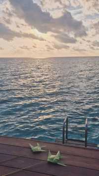 Memorable Stay at Mercure Maldives Kooddoo