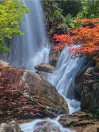 大圍山2天避暑攻略