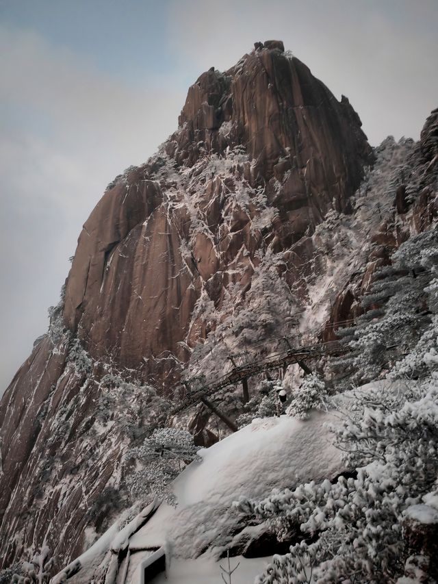 黃山冬日仙境！保姆級雪景攻略+冷門機位大公開 杭州出發2h直達！黃山雪景封神了家人們！ 