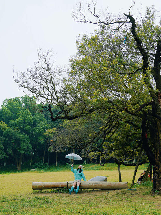 在成都！！唯一想去無數次的森林公園！！！