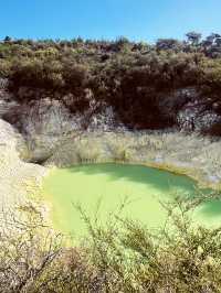🌿 Waitopu Valley: Where Avocado Groves Meet Geothermal Magic! ♨️🥑