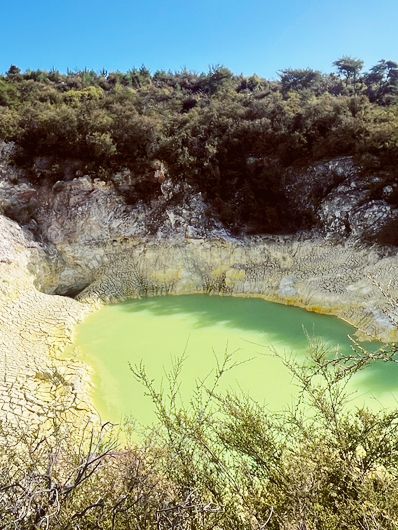 🌿 Waitopu Valley: Where Avocado Groves Meet Geothermal Magic! ♨️🥑