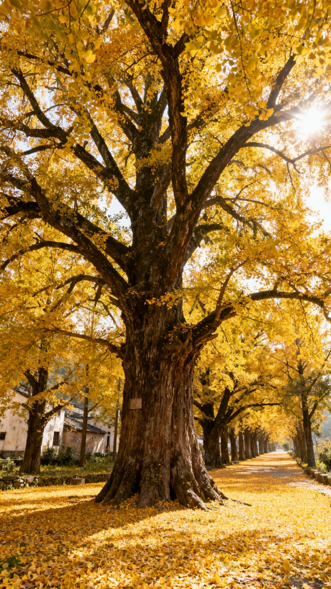 A Golden Autumn Date