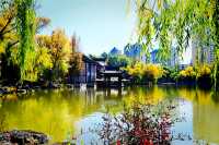 西寧人民公園｜高原夏都的綠色會客廳
