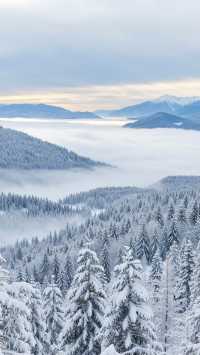 雪中森林日落絕景 嵩山雪景絕美