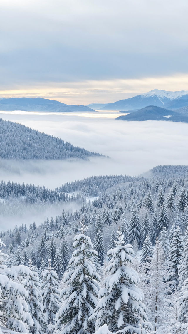 雪中森林日落絕景 嵩山雪景絕美