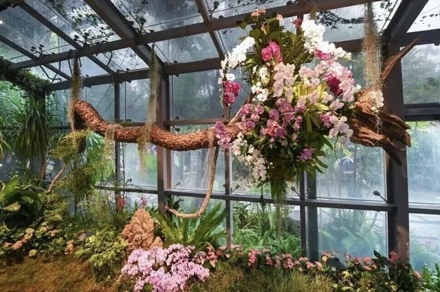 鷺島蘭宴：2025蘭展頌華章，雅韻伴旅居