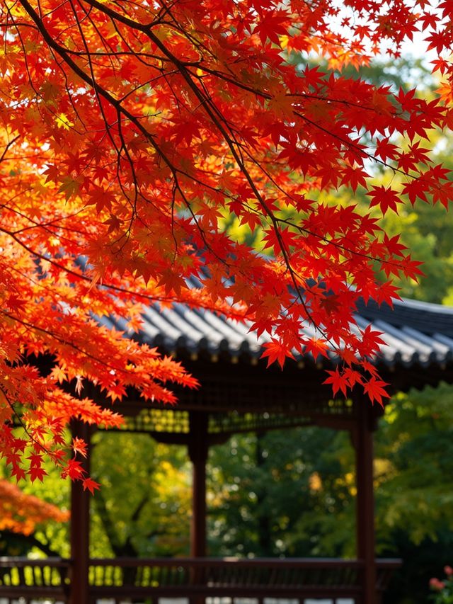 崆峒山賞秋攻略|墜入紅葉仙境的最佳打開方式 崆峒山賞秋攻略|墜入紅葉仙境的最佳打開方式