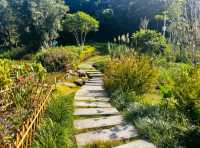好像走進了莫奈的花園深圳恩上公園！