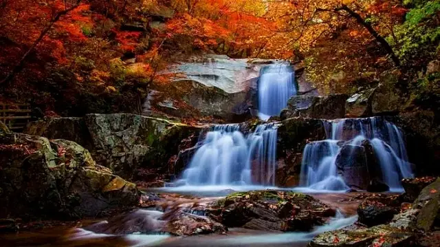 Chongyang Festival Free Admission at Tiantangzhai