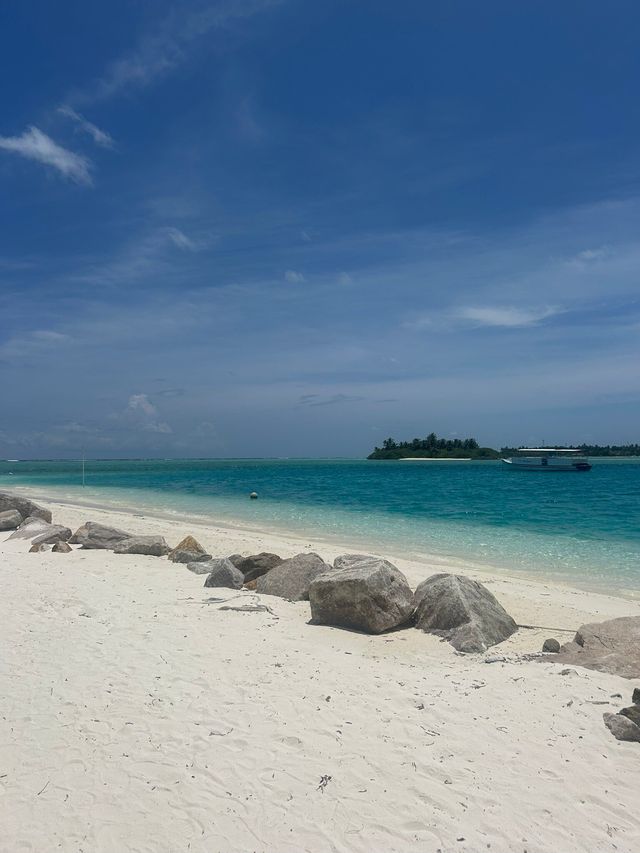 Amazing Resort Experience Amazing Resort Experience