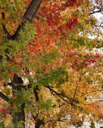 還得是西安的小香港啊!紡正街