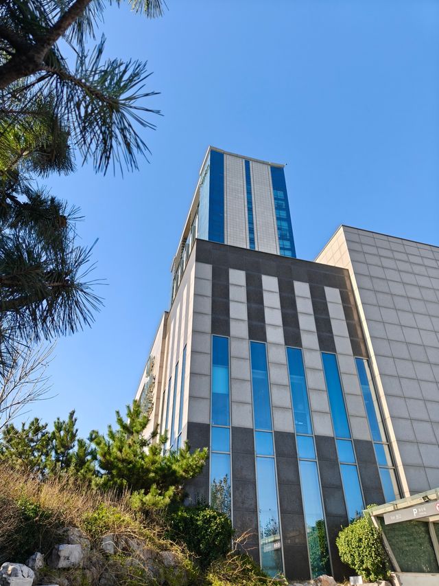 超chill的煙台躺平攻略這家海景酒店真的讓我實現了"面朝大海，春暖花開"的夢想！  這次在煙台