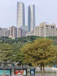 坂田雙子塔:深圳的閃耀CP✨