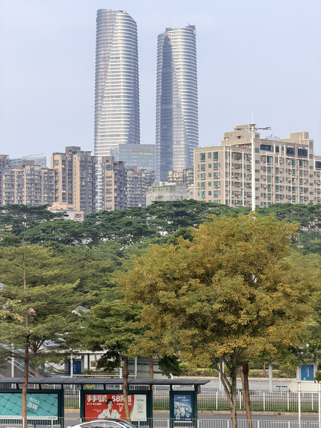 坂田雙子塔:深圳的閃耀CP✨ 坂田雙子塔:深圳的閃耀CP✨
