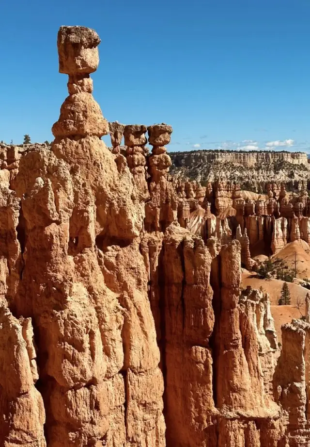 “인생 필수 방문” 미국 명소, 16일간 함께 여행해요