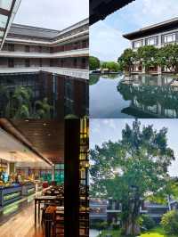 廣東周邊遊|一秒穿越到京都?不!是更地道的唐風禪境!