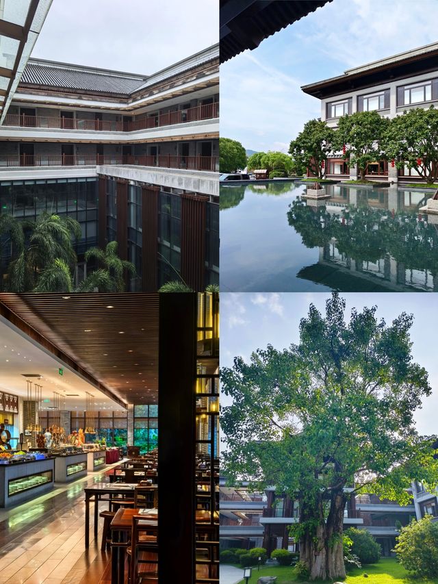 廣東周邊遊|一秒穿越到京都?不!是更地道的唐風禪境! 廣東周邊遊|一秒穿越到京都?不!是更地道的唐風禪境!