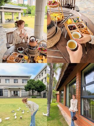 Longyan's another hidden gem for autumn tea gatherings around the stove!