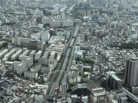 Disney themed Skytree! You can’t beat the views and the cuteness 🤩 👽  🗼 