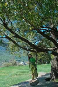 麗江秋冬必衝!阿美澤把浪漫焊在雪山
