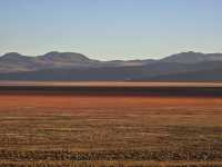 11月和12月西藏旅遊最佳的季節之一|||因為一直特別忙，