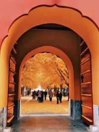 本週北京賞秋的尾巴，倒數計時！還有10處選擇