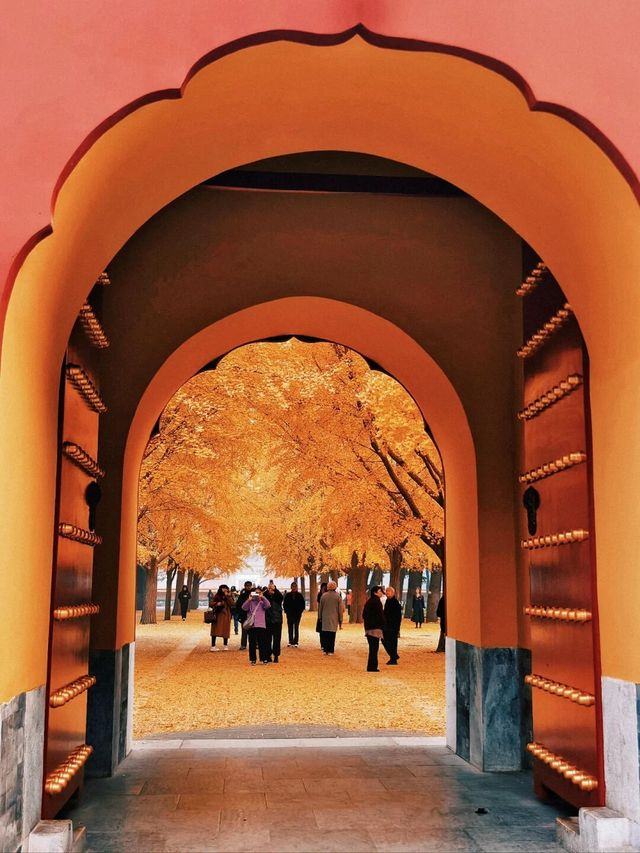 本週北京賞秋的尾巴，倒數計時！還有10處選擇