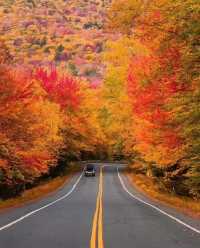 霜染鍋盔鋪錦繡 暖居枕秋入夢來