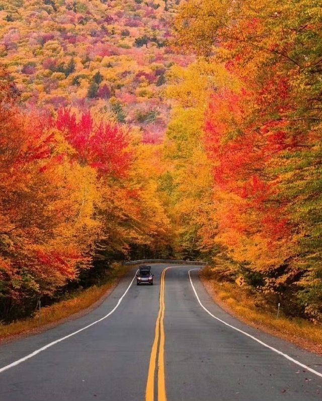 霜染鍋盔鋪錦繡 暖居枕秋入夢來