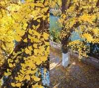 濟南初冬漫步指南｜11月專屬City Walk路線