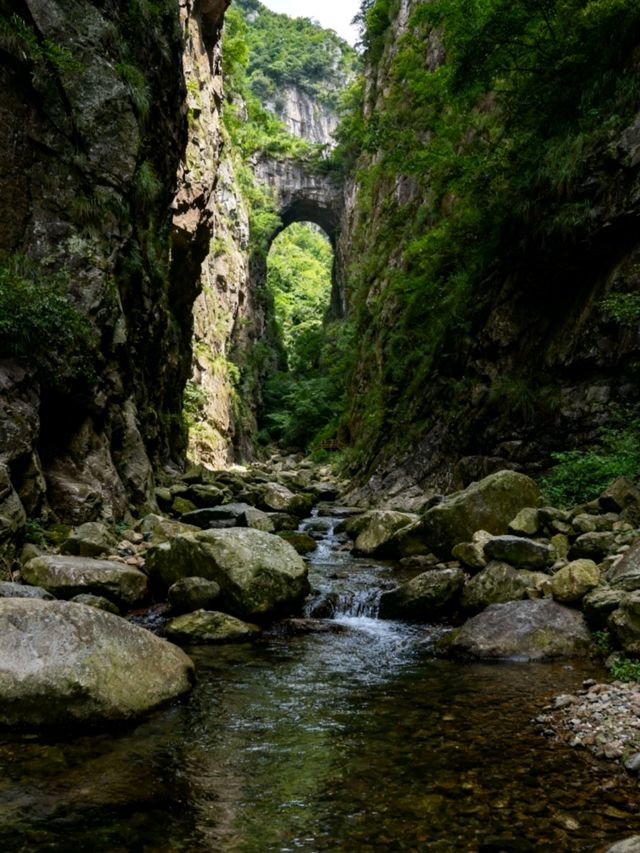 江西廬山：瀑布從雲端跌落山谷，雲霧漫過石階時，一步一景