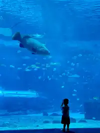 陵水親子酒店天花板現實版童話宮殿