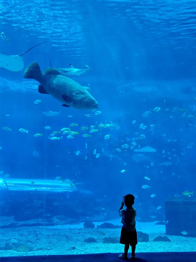 陵水親子酒店天花板現實版童話宮殿 陵水親子酒店天花板現實版童話宮殿