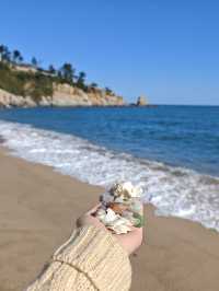 青島最美山海公路!618路環海攻略來啦