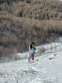 不是北歐，勝似北歐！雪後樺皮嶺