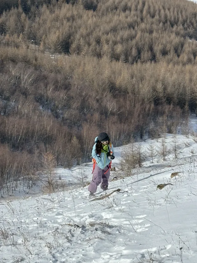 不是北歐，勝似北歐！雪後樺皮嶺