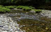三天漫逛大姚：白塔映彝風，百草嶺藏野趣與核桃香