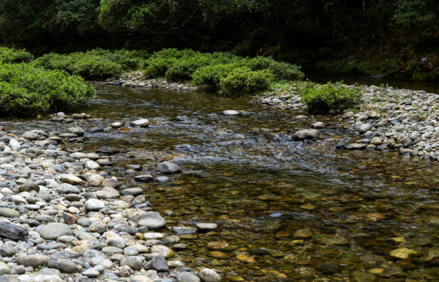 三天漫逛大姚：白塔映彝風，百草嶺藏野趣與核桃香