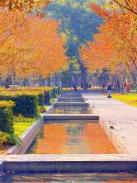 上海的秋日藝術巡禮