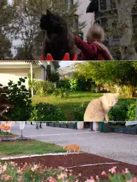 土耳其11天自由行逆時針環線路線分享與測評