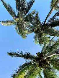 奔赴三亞只為18張圖｜這波海島值哭了