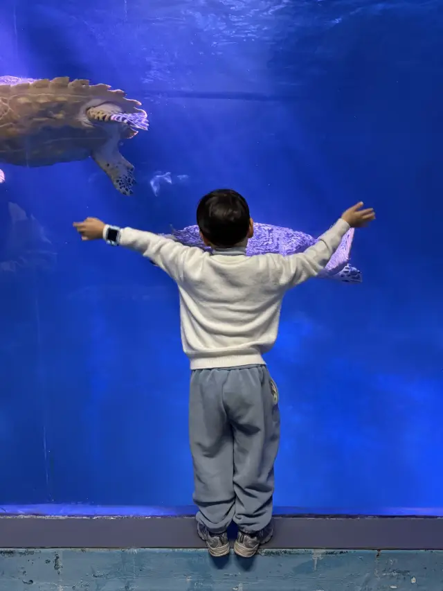 Beijing Cooling Down|I’ve Found the Ultimate Indoor Spot to Take Kids Out