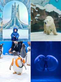 帶娃勇闖冰城!哈爾濱遛娃攻略分享~