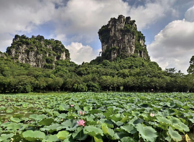 南山風景名勝 南山風景名勝